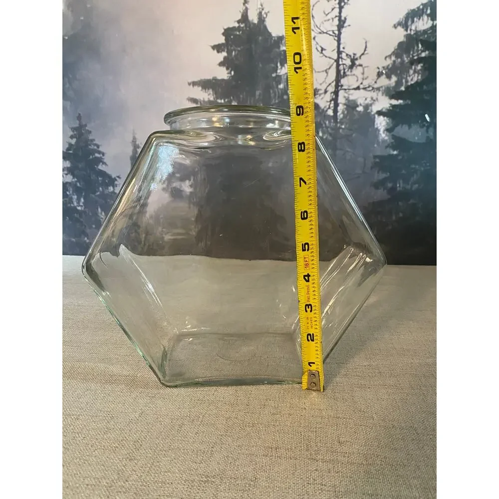 Large Vintage Hexagon Glass Jar Terrarium Canister Vtg 9